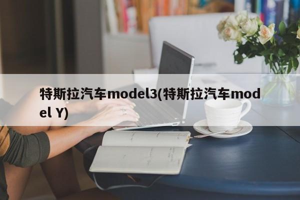 特斯拉汽车model3(特斯拉汽车model Y)
